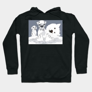 Its my time now! Hoodie